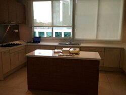 Scotts Highpark (D9), Condominium #457037521